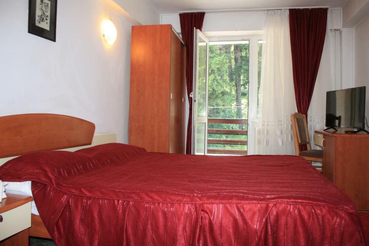Hotel Vila Mihail Buşteni Exterior foto